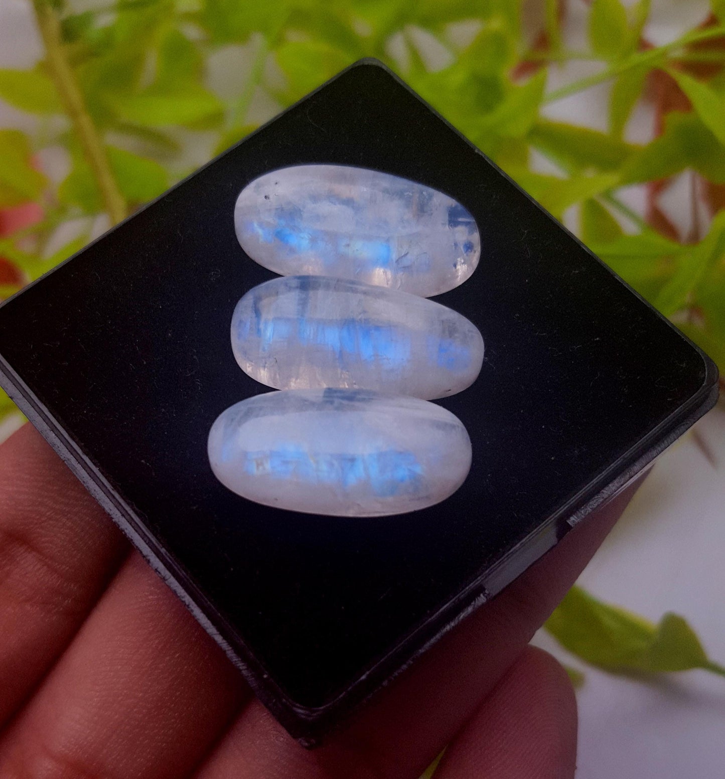 Moonstone, Natural Rainbow Moonstone, Oval Smooth Cabochon Gemstone Lot, 42.50 Carat, Size-23x11x6mm To 23x11x6mm, Gift For Her, PC-3