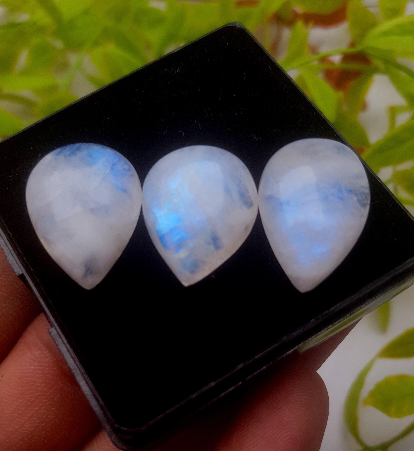 Moonstone, Natural Rainbow Moonstone, Pear Smooth Cabochon Gemstone Lot, 44.40 Carat, Size-22x16x6mm To 20x16x6mm, Gift For Her, PC-3