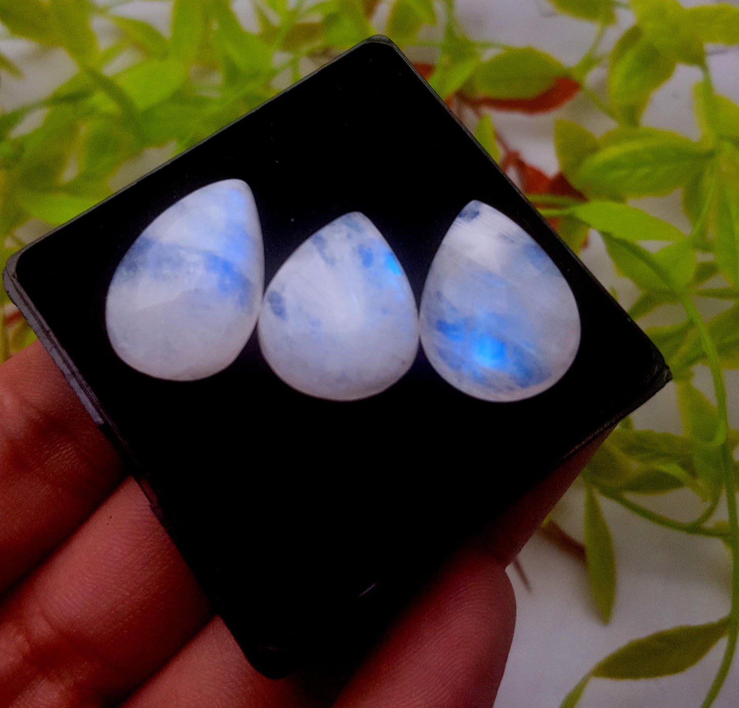 Moonstone, Natural Rainbow Moonstone, Pear Smooth Cabochon Gemstone Lot, 44.40 Carat, Size-22x16x6mm To 20x16x6mm, Gift For Her, PC-3