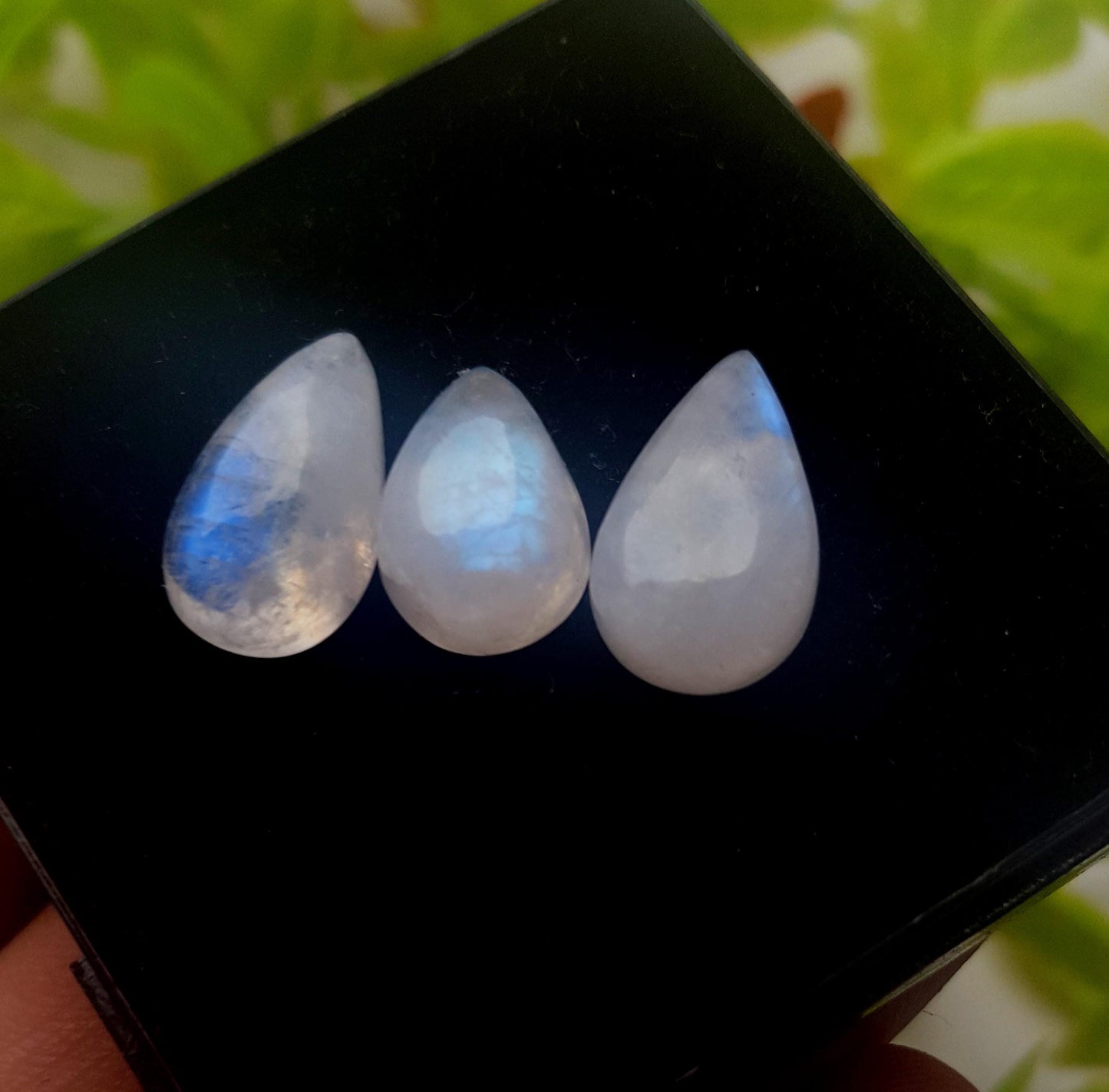 Moonstone, Natural Rainbow Moonstone, Pear Smooth Cabochon Gemstone Lot, 17.00 Carat, Size-26x10x5mm To 13x9x6mm, Gift For Her, PC-3