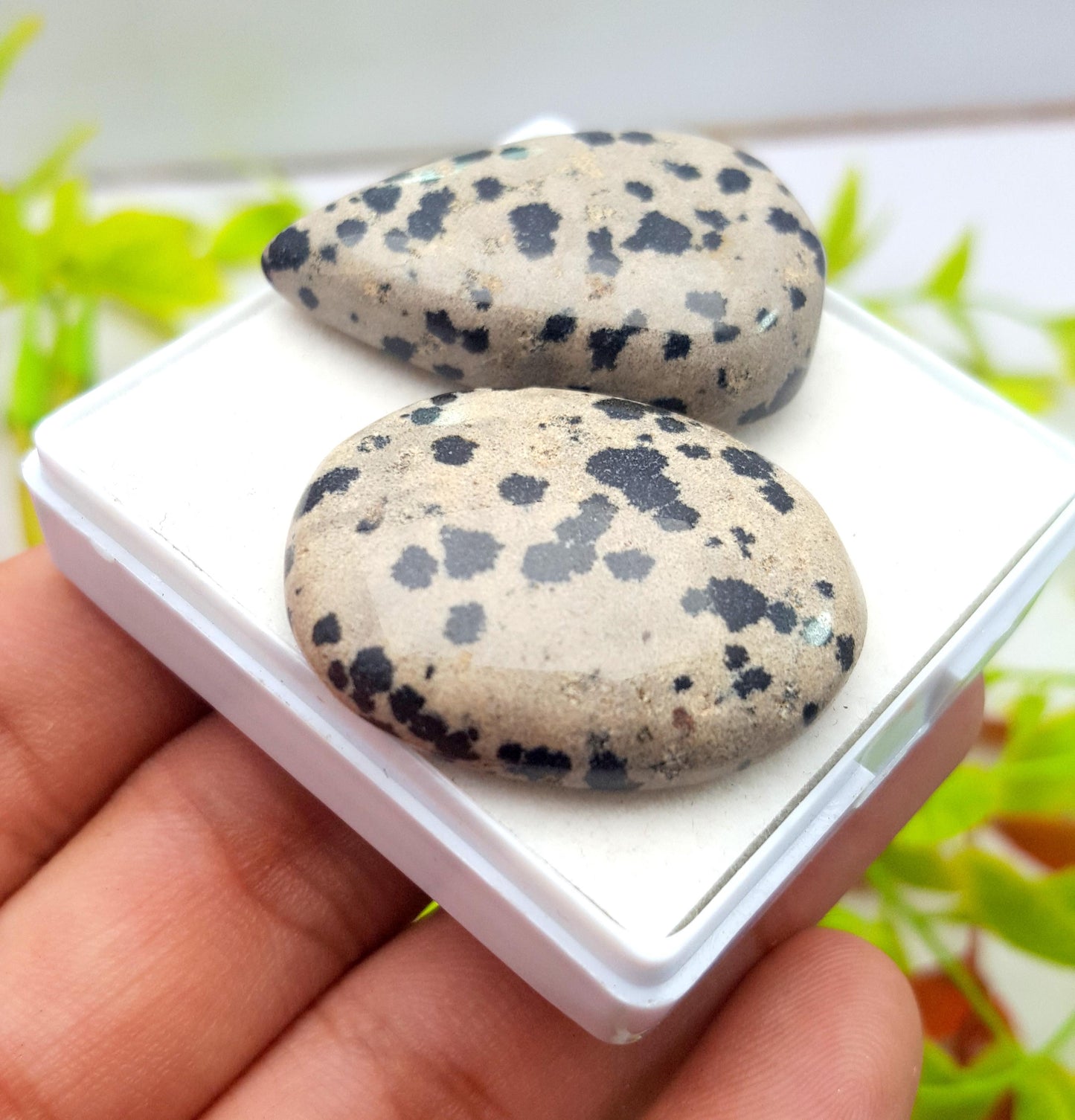 Jasper, Natural Dalmatian Jasper, Mix Shape Cabochon Gemstone Lot, 115.10 Carat, Size-36x24x9mm To 32x26x8mm, Gift For Her, PC-2