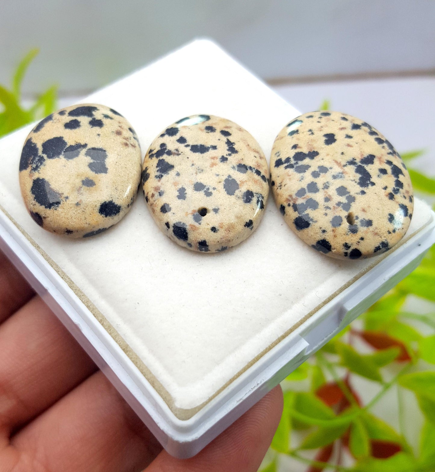 Jasper, Natural Dalmatian Jasper, Oval Shape Cabochon Gemstone Lot, 85.40 Carat, Size-31x30x6mm To 27x19x6mm, Gift For Her, PC-3