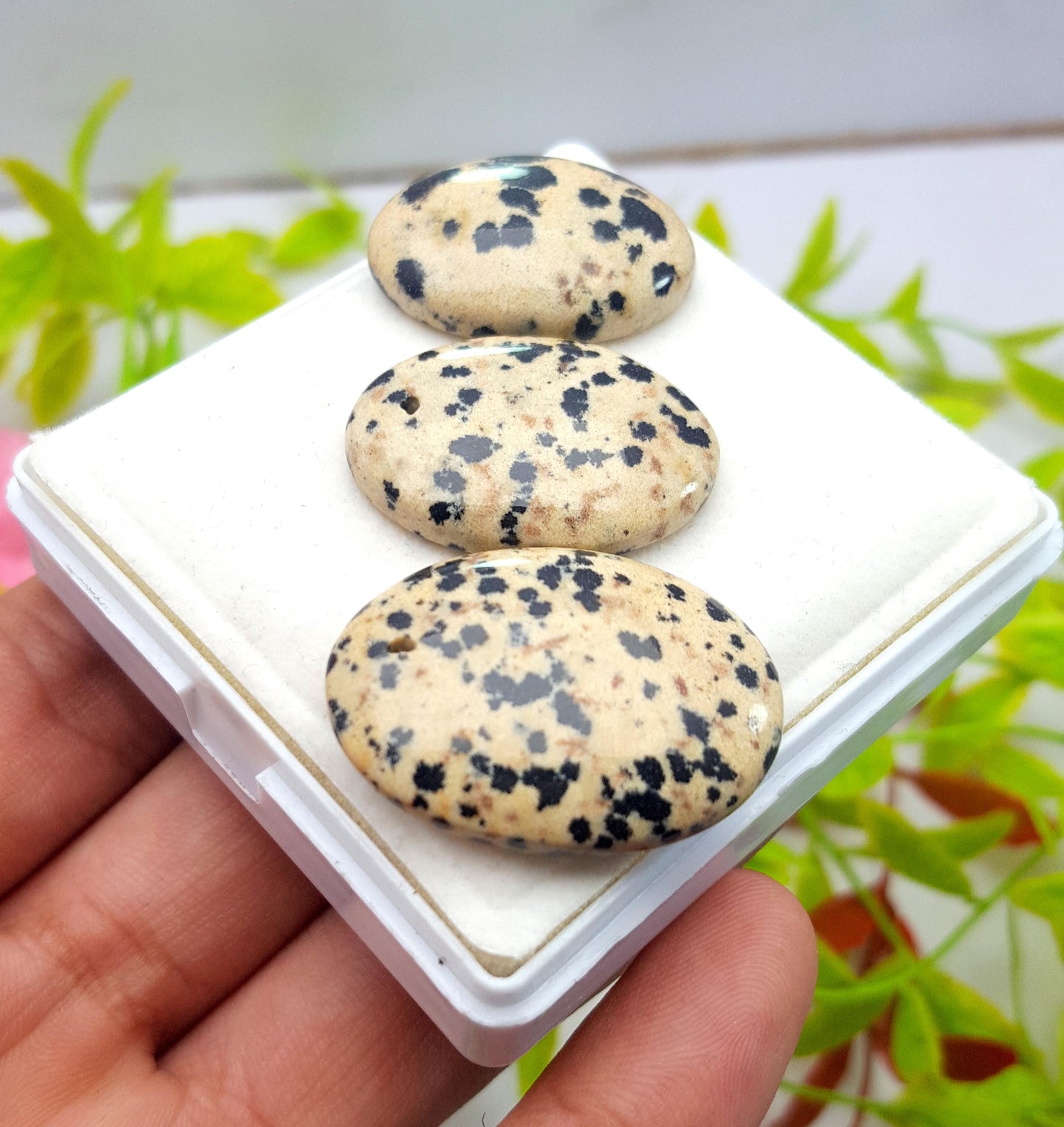 Jasper, Natural Dalmatian Jasper, Oval Shape Cabochon Gemstone Lot, 85.40 Carat, Size-31x30x6mm To 27x19x6mm, Gift For Her, PC-3