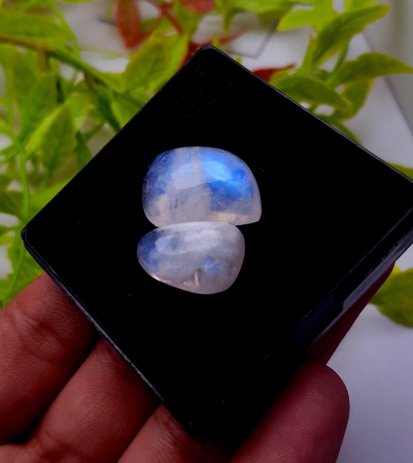 Moonstone, Natural Rainbow Moonstone, Fancy Shape Cabochon Gemstone Lot, 27.90 Carat, Size-21x13x7mm To 17x11x7mm, Gift For Her, PC-2