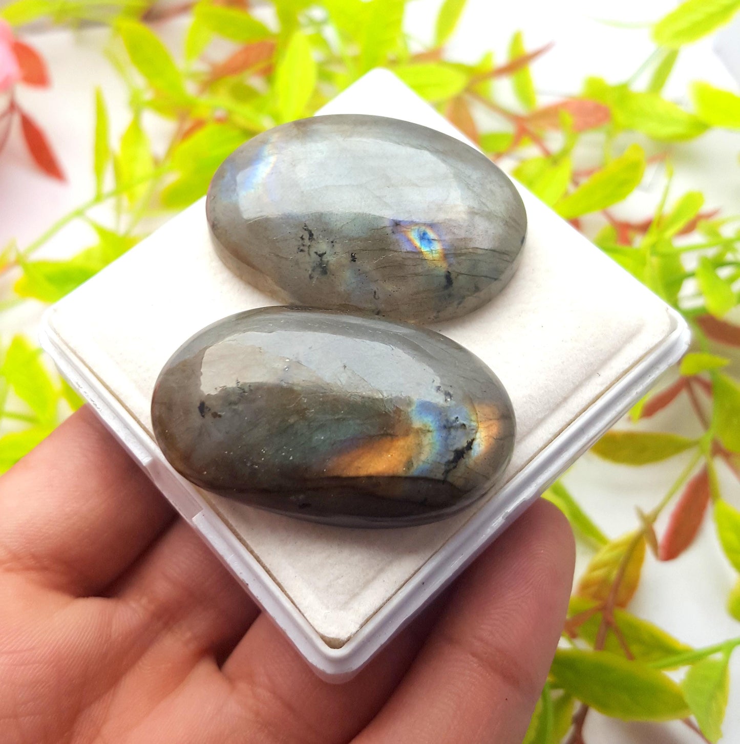 Natural Multi Flashy Labradorite, Oval Smooth Cabochon Gemstone Lot, 170.60 Ct, Size-43x25x9mm To 42x30x9mm, Gift For Her, PC-2