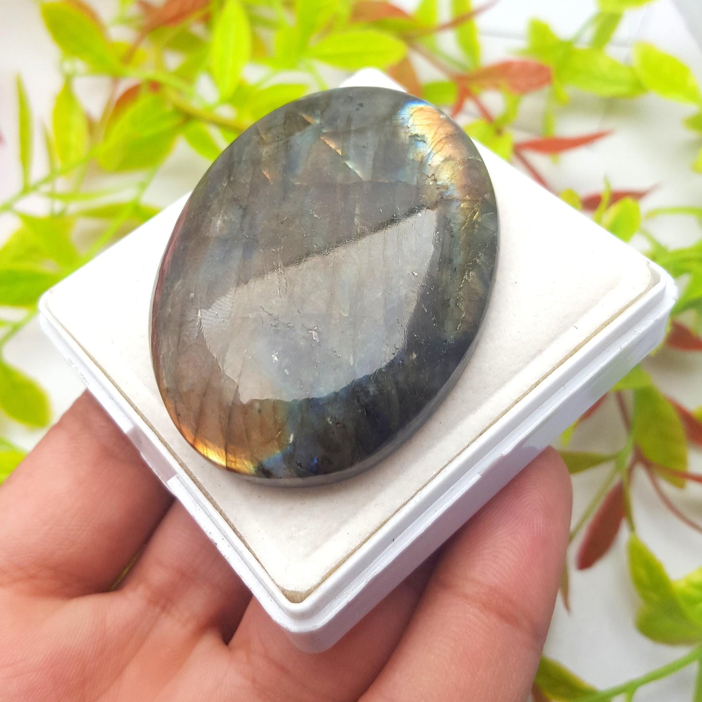 Rare & Natural Multi Flashy Labradorite, Oval Smooth Cabochon Loose Gemstone, 231.30 Ct, Size-68x43x10mm, Gift For Her, PC-1