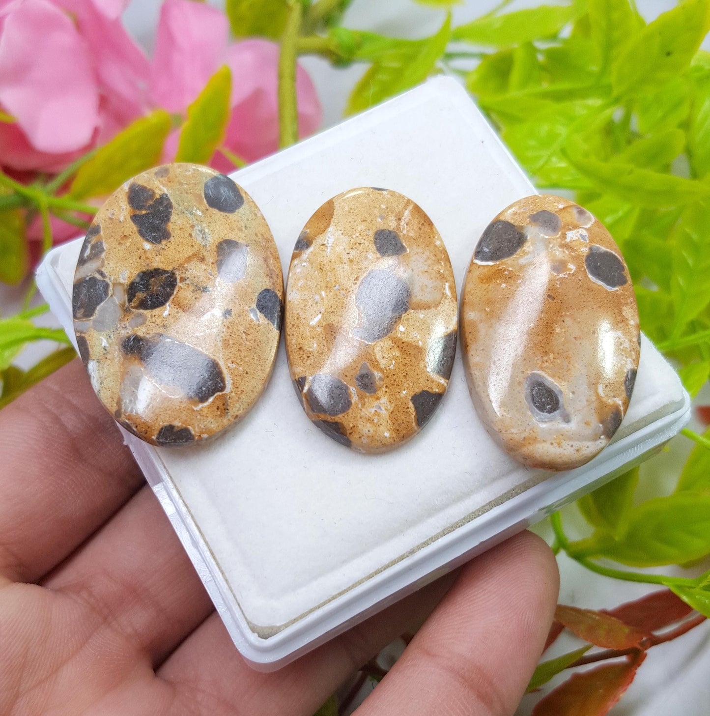 Jasper, Natural Picture Jasper, Oval Smooth Cabochon Gemstone Lot, 97.20 Carat, Size-37x24x4mm To 35x20x5mm, For Jewelry Making,