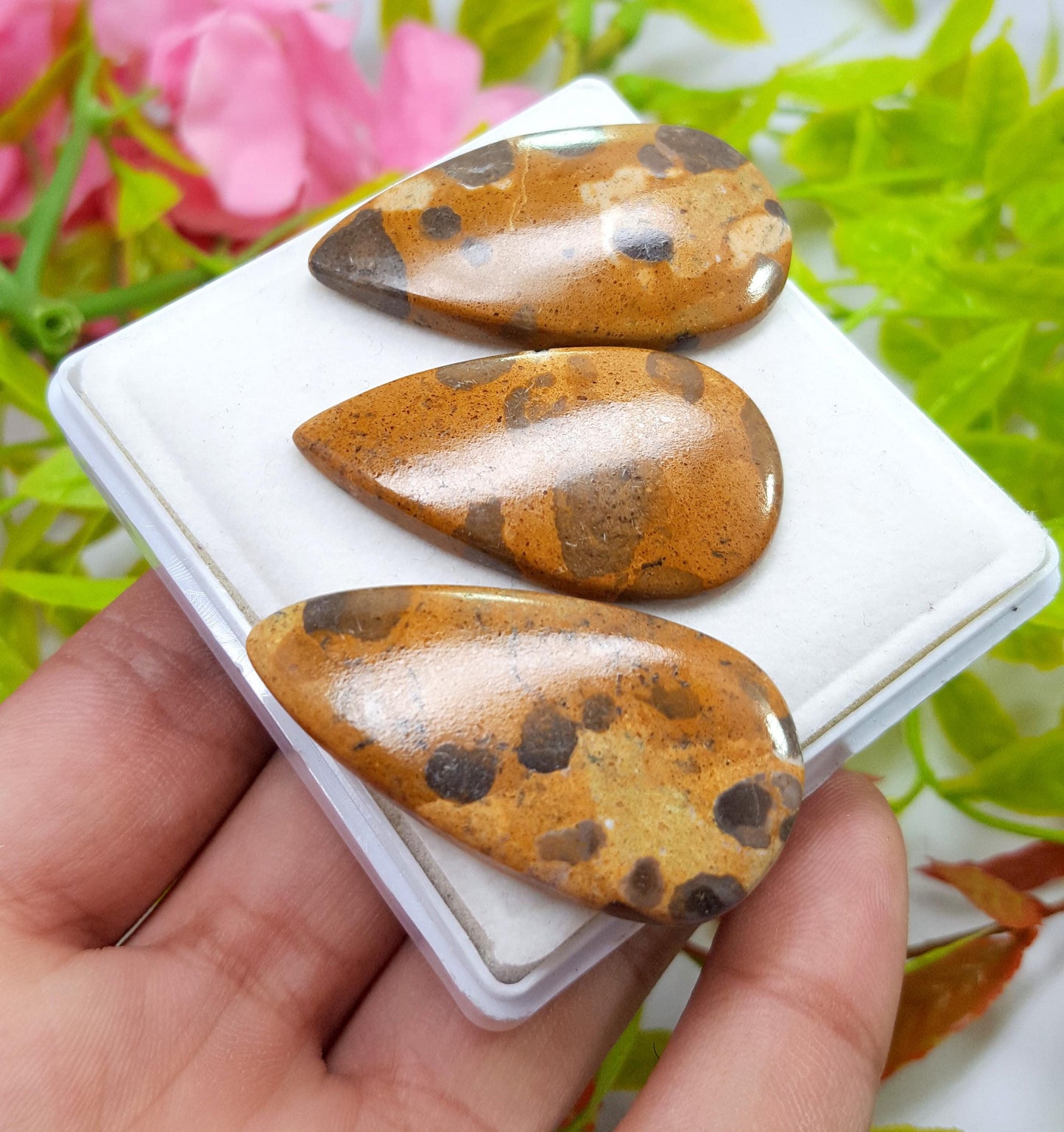 Jasper, Natural Picture Jasper, Pear Smooth Cabochon Gemstone Lot, 99.99 Carat, Size-40x21x5mm To 38x21x4mm, For Jewelry Making,