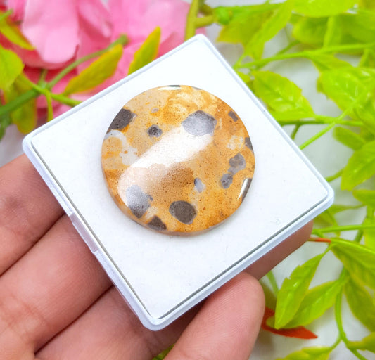 Jasper, Natural Picture Jasper, Round Smooth Cabochon Loose Gemstone, 45.65 Carat, Size-33x33x5mm, For Jewelry Making,