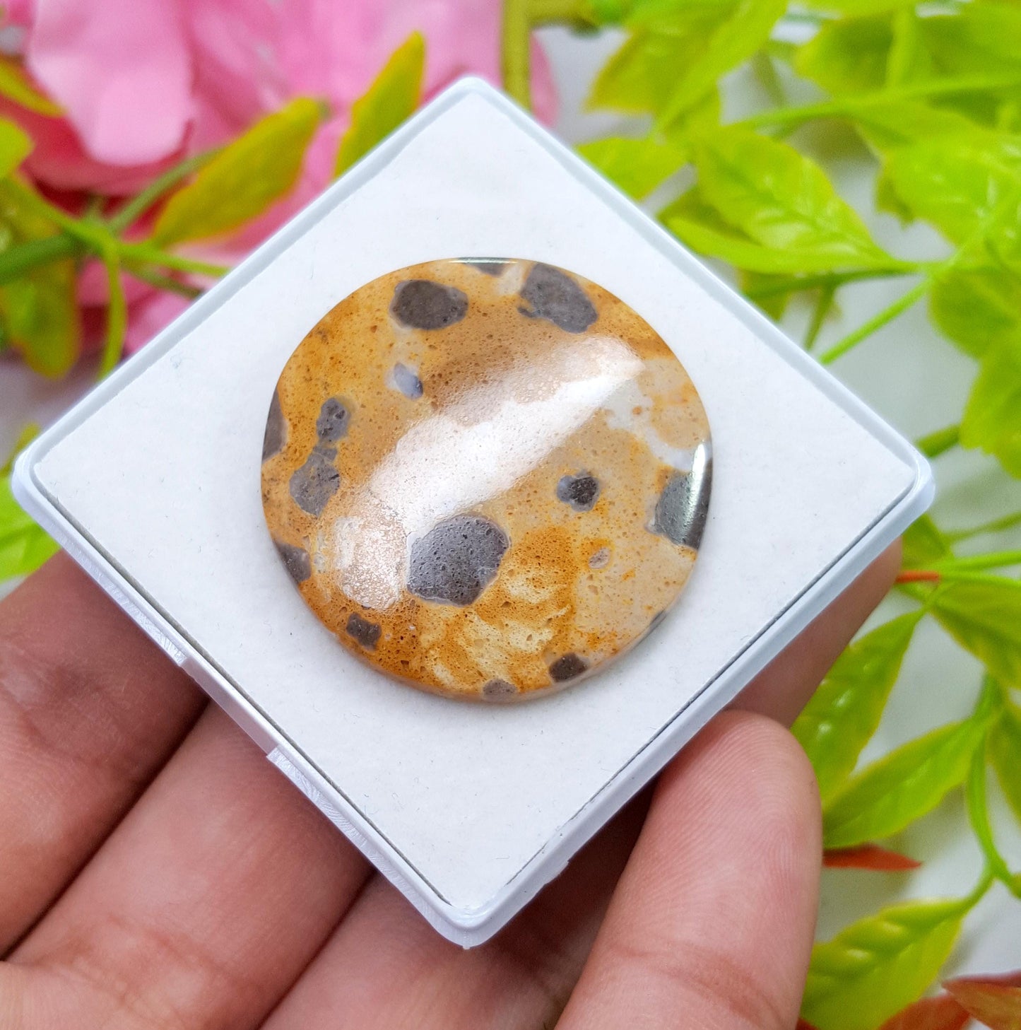 Jasper, Natural Picture Jasper, Round Smooth Cabochon Loose Gemstone, 45.65 Carat, Size-33x33x5mm, For Jewelry Making,