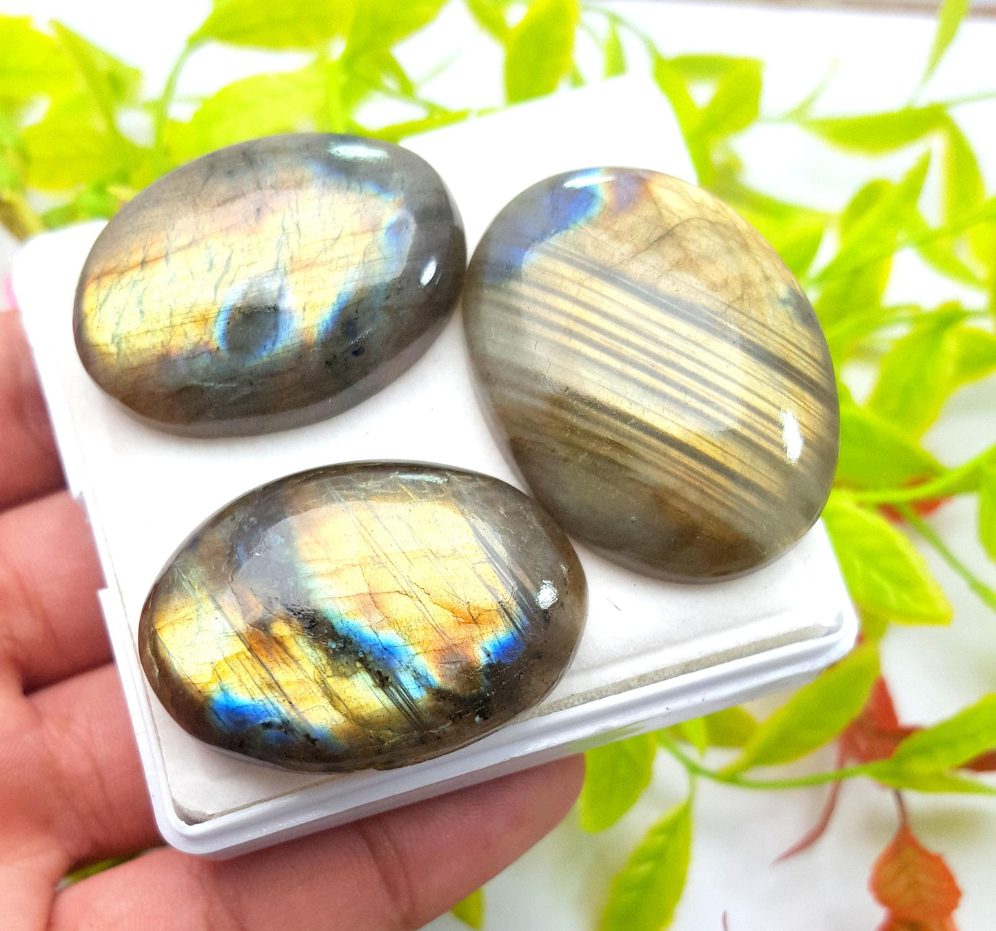 100% Natural Multi Labradorite, Oval Smooth Cabochon Gemstone Lot, 202.50 Carat, Size-39x29x8mm To 38x25x8mm, Gift For Her, PC-3