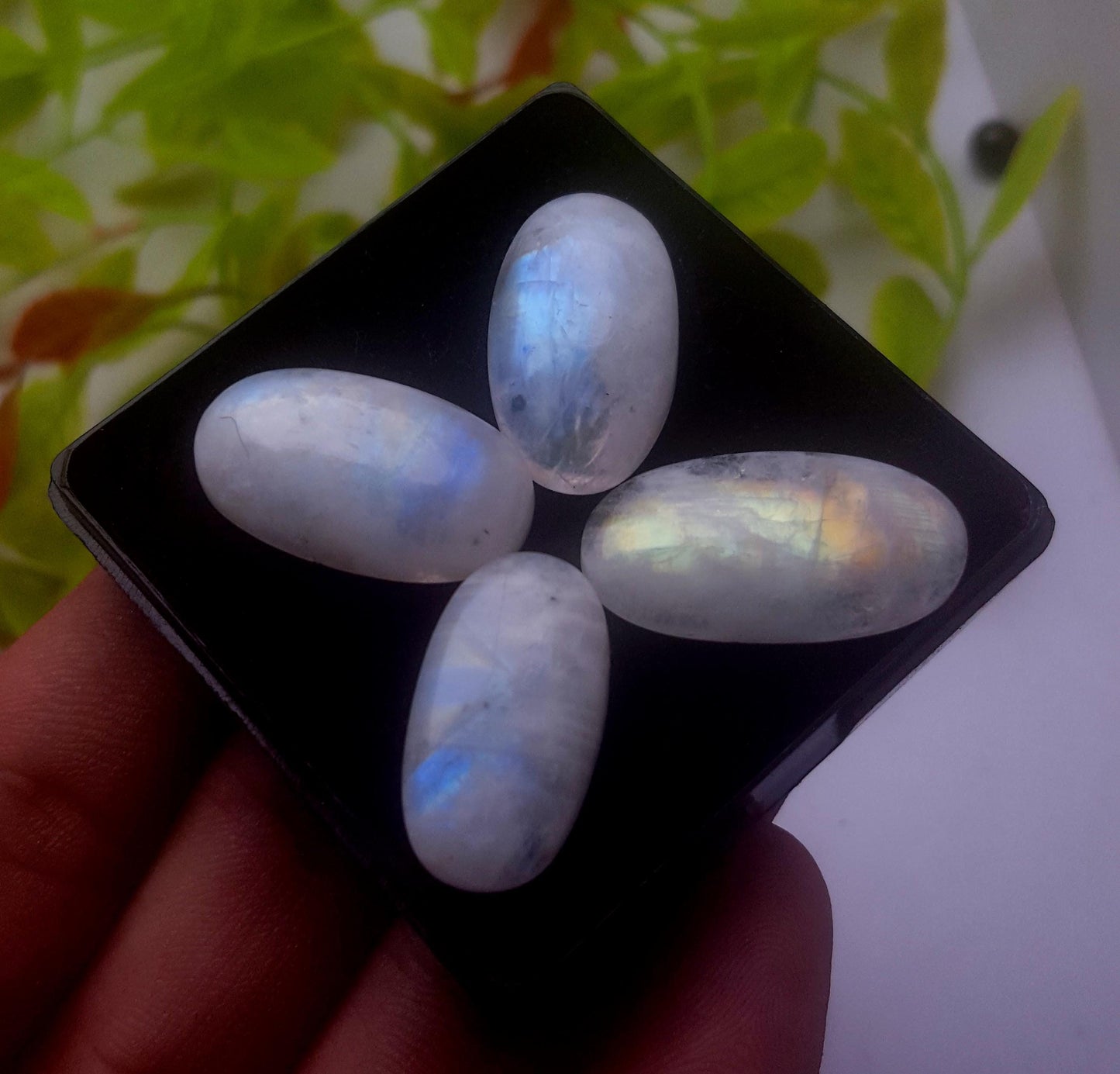 Genuine & Natural Rainbow Moonstone, Oval Smooth Cabochon Gemstone Lot, 63.10 Carat, Size-25x13x4mm To 22x12x5mm, Gift For Her, PC-4