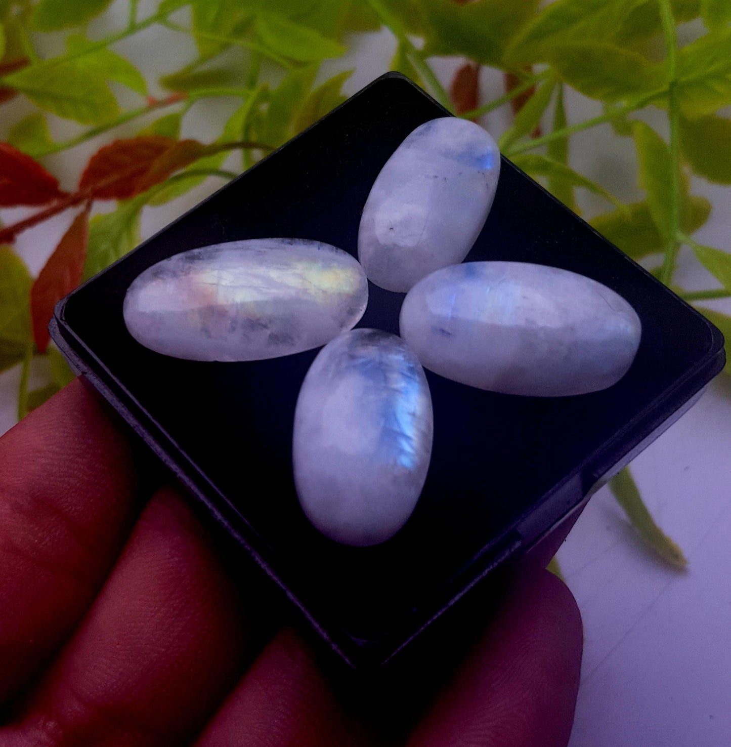 Genuine & Natural Rainbow Moonstone, Oval Smooth Cabochon Gemstone Lot, 63.10 Carat, Size-25x13x4mm To 22x12x5mm, Gift For Her, PC-4