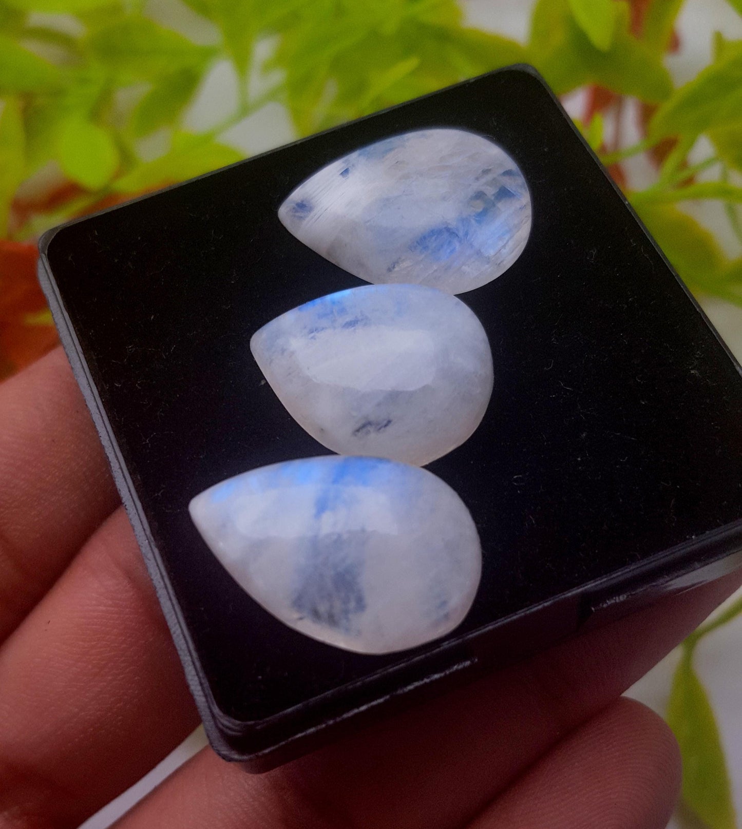 Moonstone, Natural Rainbow Moonstone, Pear Smooth Cabochon Gemstone Lot, 44.40 Carat, Size-22x16x6mm To 20x16x6mm, Gift For Her, PC-3