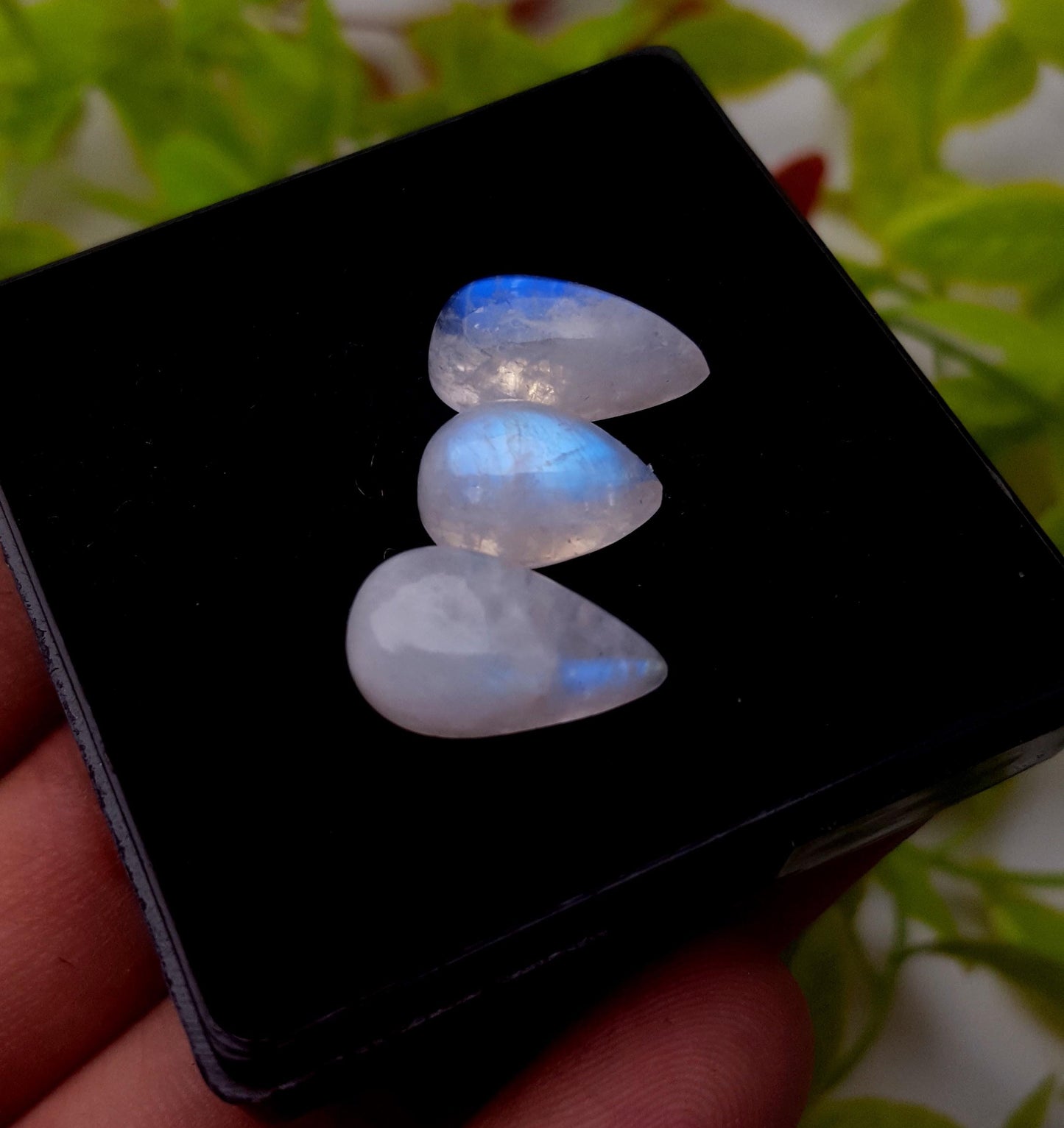 Moonstone, Natural Rainbow Moonstone, Pear Smooth Cabochon Gemstone Lot, 17.00 Carat, Size-26x10x5mm To 13x9x6mm, Gift For Her, PC-3