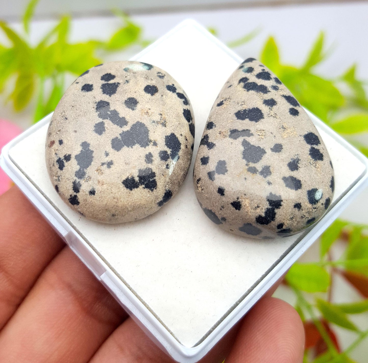 Jasper, Natural Dalmatian Jasper, Mix Shape Cabochon Gemstone Lot, 115.10 Carat, Size-36x24x9mm To 32x26x8mm, Gift For Her, PC-2