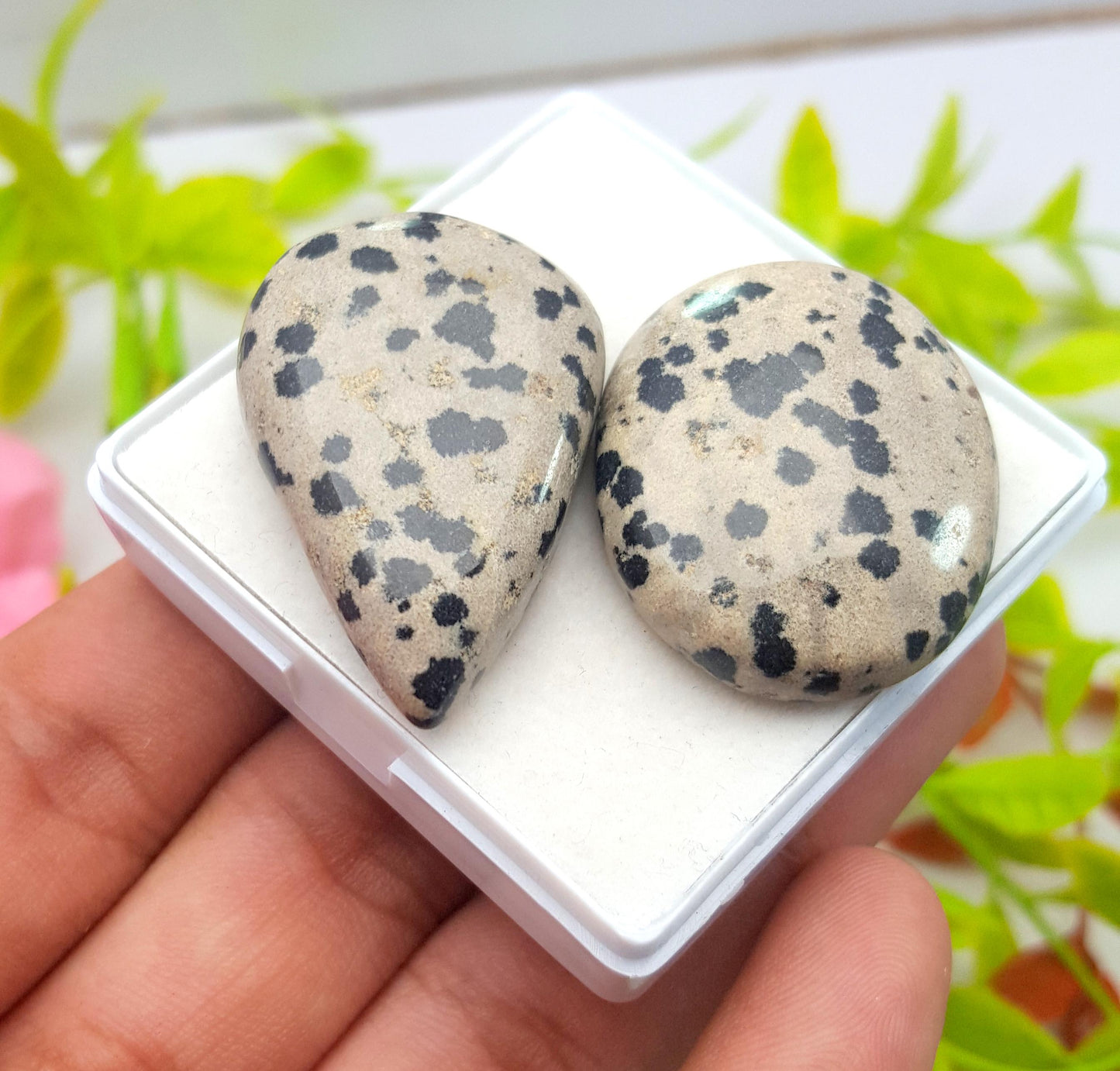 Jasper, Natural Dalmatian Jasper, Mix Shape Cabochon Gemstone Lot, 115.10 Carat, Size-36x24x9mm To 32x26x8mm, Gift For Her, PC-2