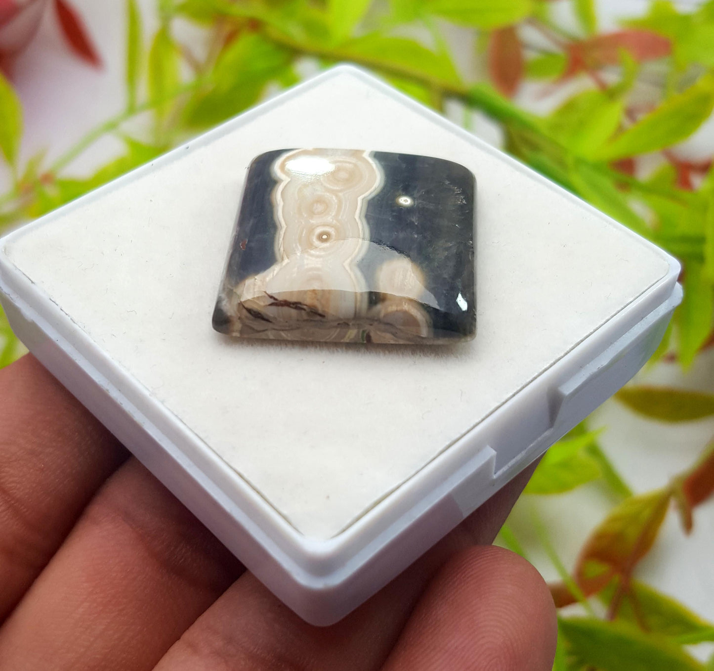 Jasper, Natural Ocean Jasper, Square Smooth Cabochon Loose Gemstone, 33.00 Carat, Size-25x24x6mm, For Jewelry Making, PCS-1