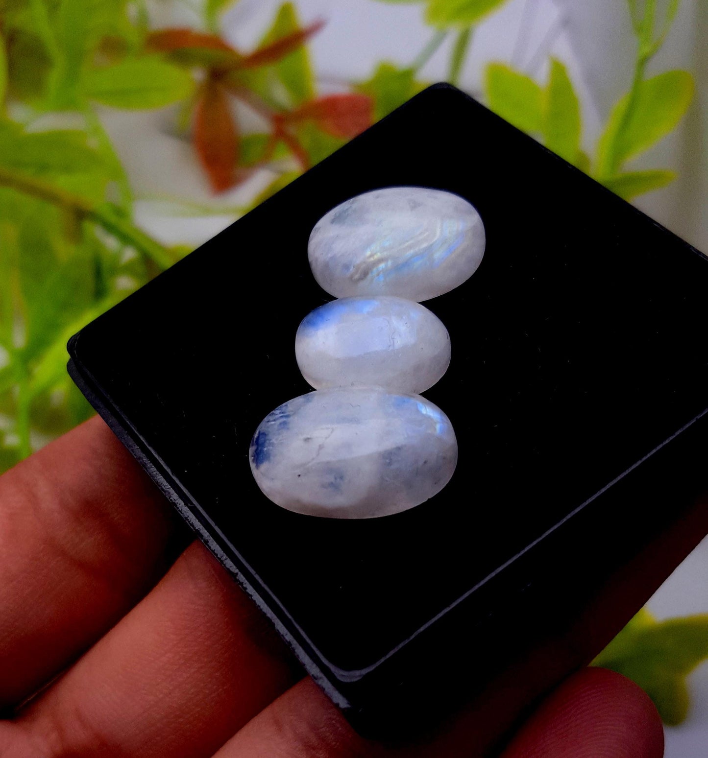 Moonstone, Natural Rainbow Moonstone, Oval Cabochon Gemstone Lot, 25.90 Carat, Size-18x12x6mm To 14x10x5mm, Gift For Her, PC-3