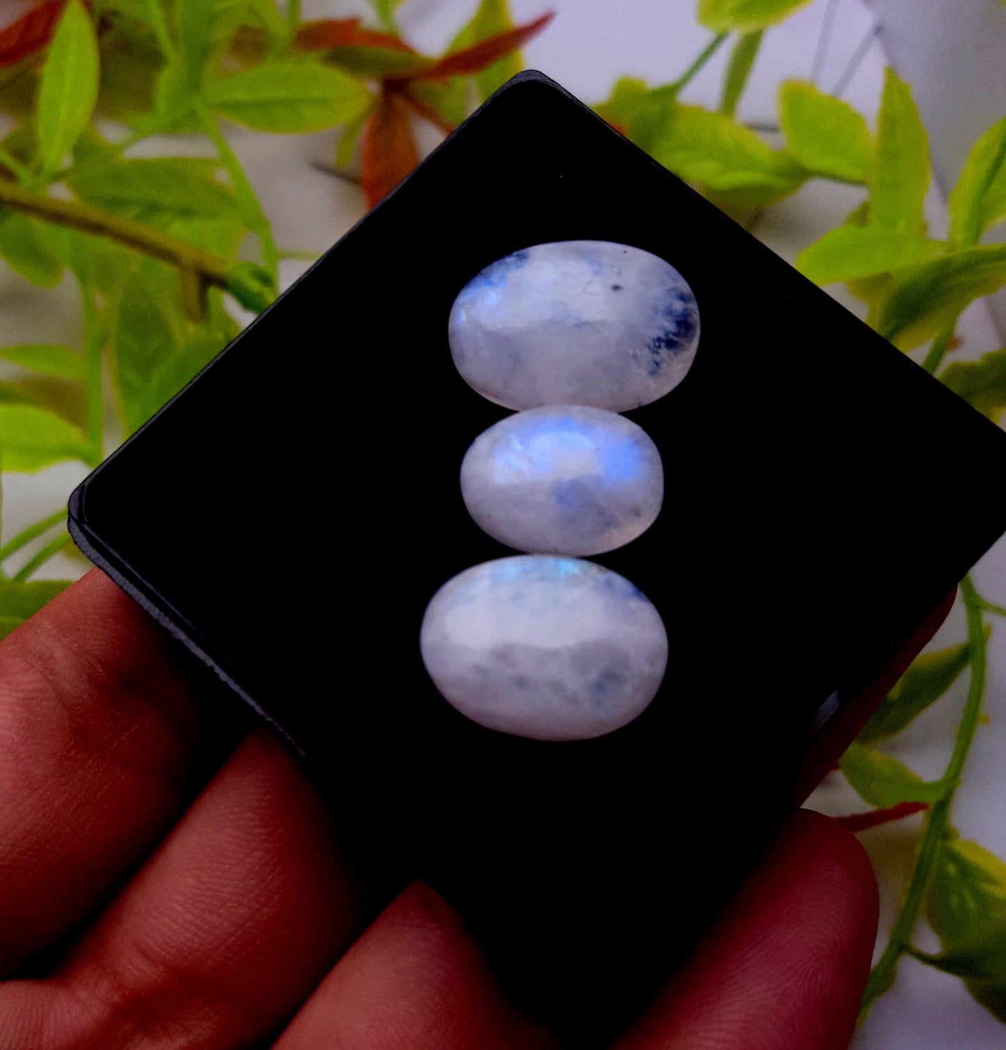 Moonstone, Natural Rainbow Moonstone, Oval Cabochon Gemstone Lot, 25.90 Carat, Size-18x12x6mm To 14x10x5mm, Gift For Her, PC-3