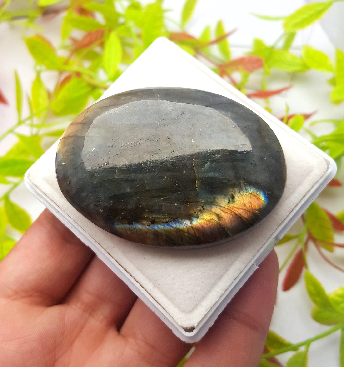 Rare & Natural Multi Flashy Labradorite, Oval Smooth Cabochon Loose Gemstone, 231.30 Ct, Size-68x43x10mm, Gift For Her, PC-1