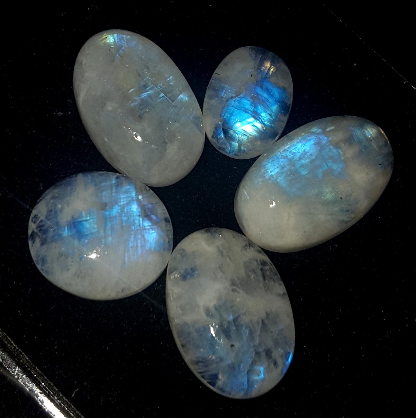 Moonstone, Natural Rainbow Moonstone, Oval Blue Flashy Gemstone Lot, 36.00 Carat, Size-14x13x4.4mm To 17x11x6mm  Gift For Her, Pc-5