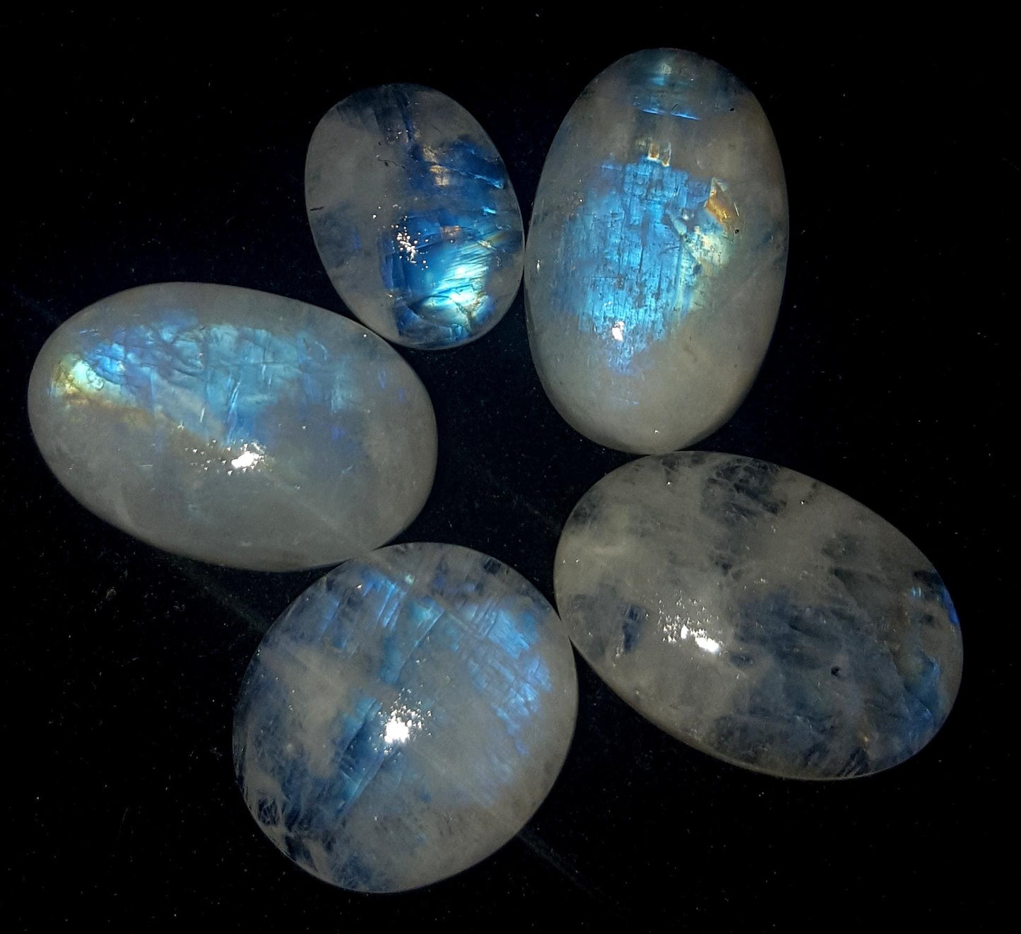 Moonstone, Natural Rainbow Moonstone, Oval Blue Flashy Gemstone Lot, 36.00 Carat, Size-14x13x4.4mm To 17x11x6mm  Gift For Her, Pc-5