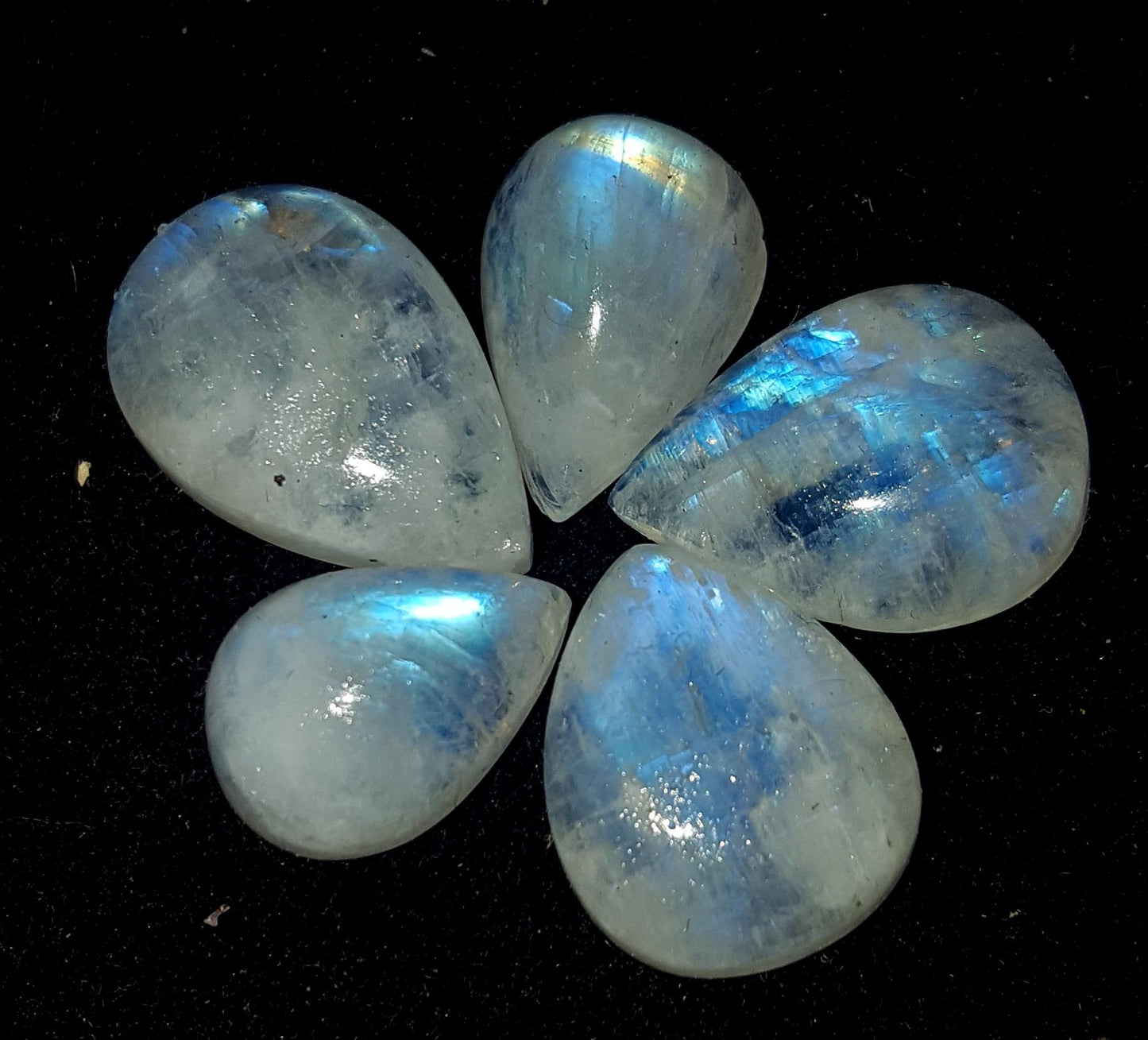 Moonstone, Natural Rainbow Moonstone, Pear Blue Flashy Gemstone Lot, 38.00 Carat, Size-14x10x7mm To 17.5x12x6mm, Gift For Her, Pc-5