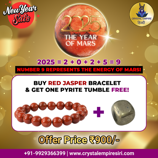 2025 New Offer | Red Jasper with Pyrite Tumble